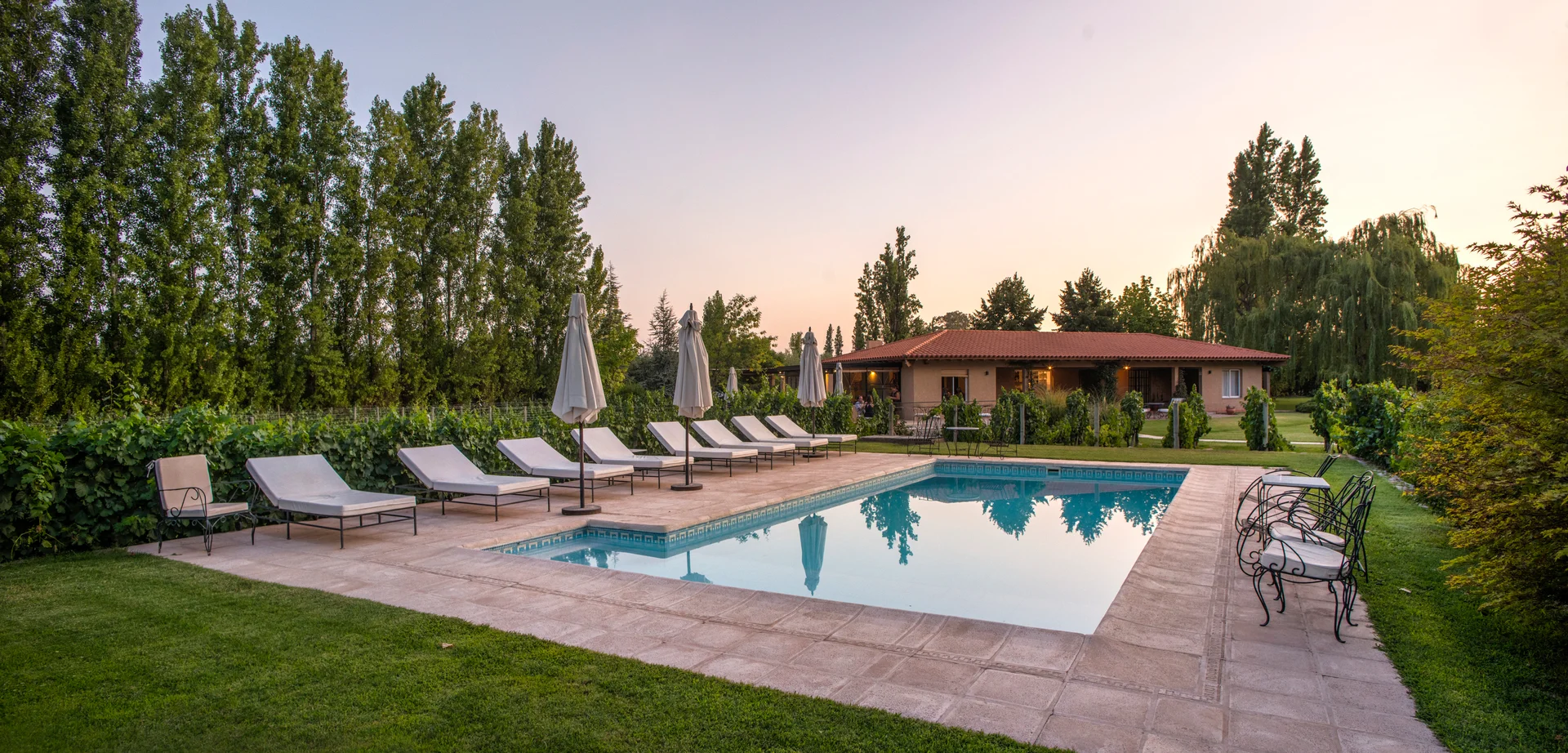 Verde Oliva boutique hotel pool area surrounded by vineyards in Maipú wine region